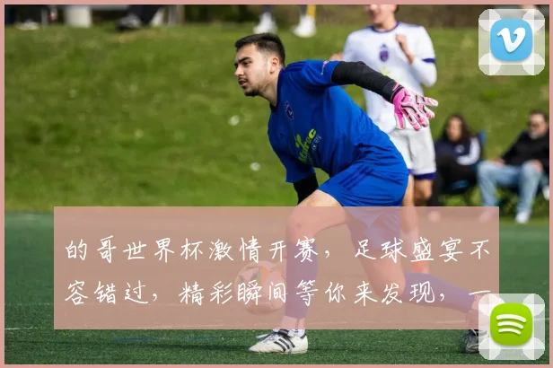 的哥世界杯激情开赛，足球盛宴不容错过，精彩瞬间等你来发现，一触即发