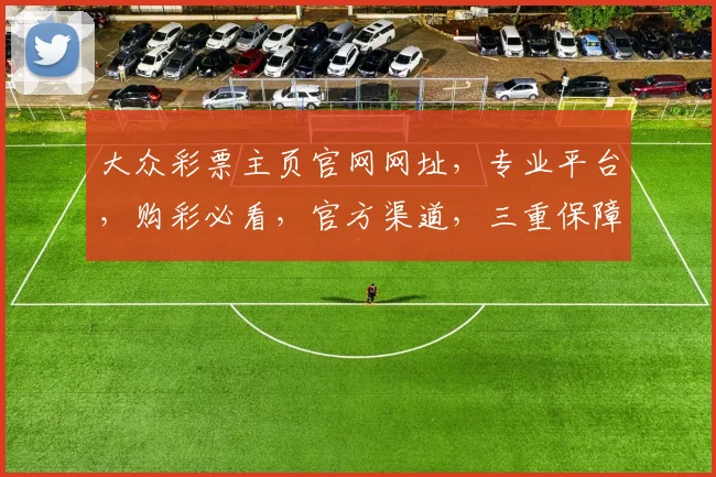 大众彩票主页官网网址，专业平台，购彩必看，官方渠道，三重保障，轻松投注